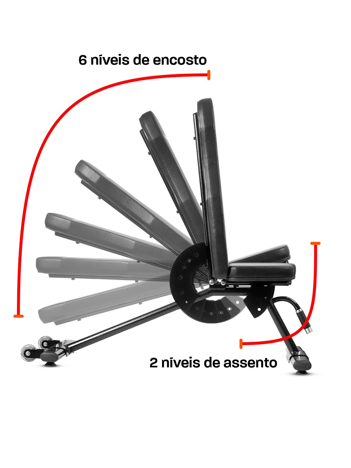 Banco Livre Ajustável Profissional M1 - MegaGym