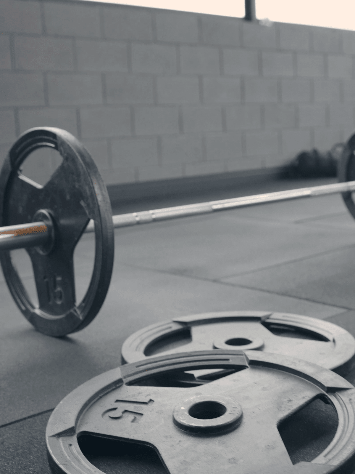 Anilha Sport Pintada Furo 31mm - MegaGym