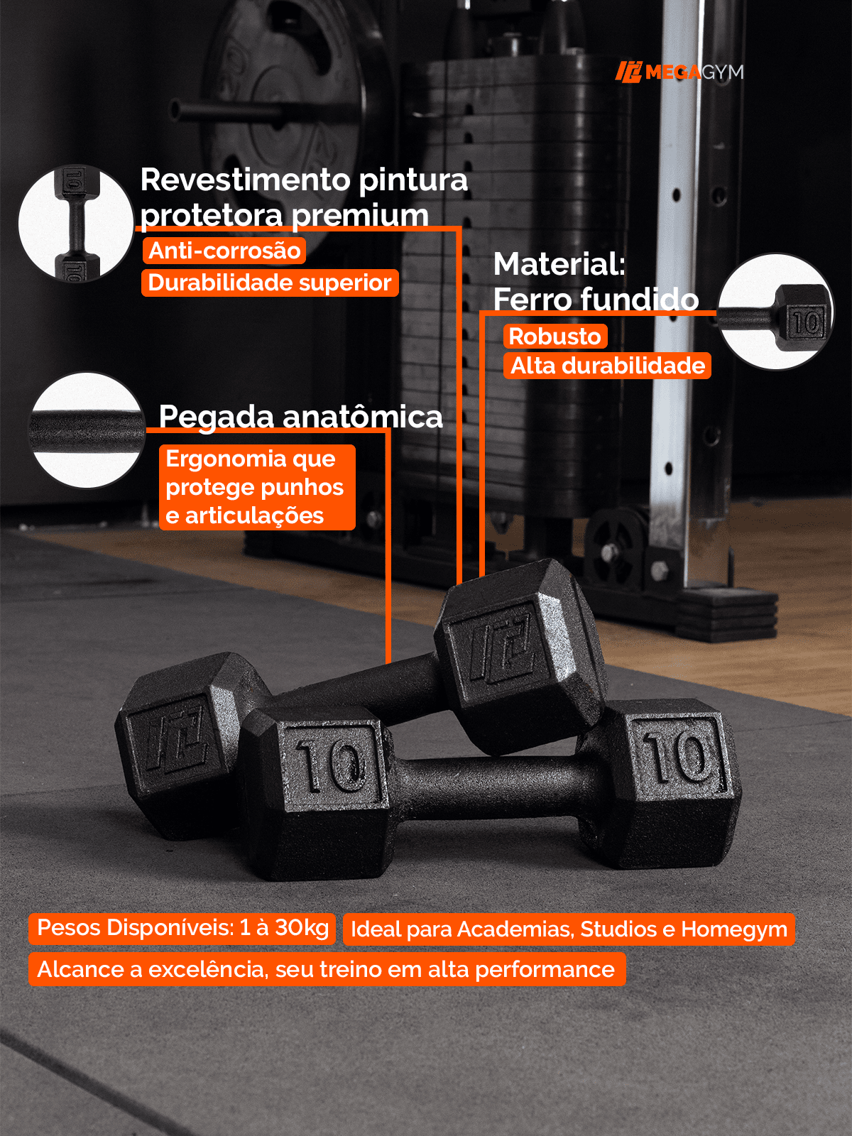 Halter Dumbbell Sextavado Pintado - MegaGym