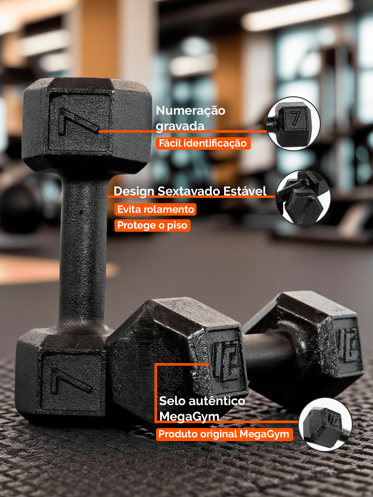 Halter Dumbbell Sextavado Pintado - MegaGym