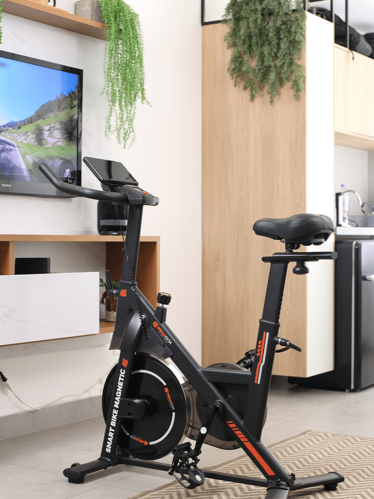 Bicicleta Ergométrica Smart Bike Magnetic MegaGym - MegaGym