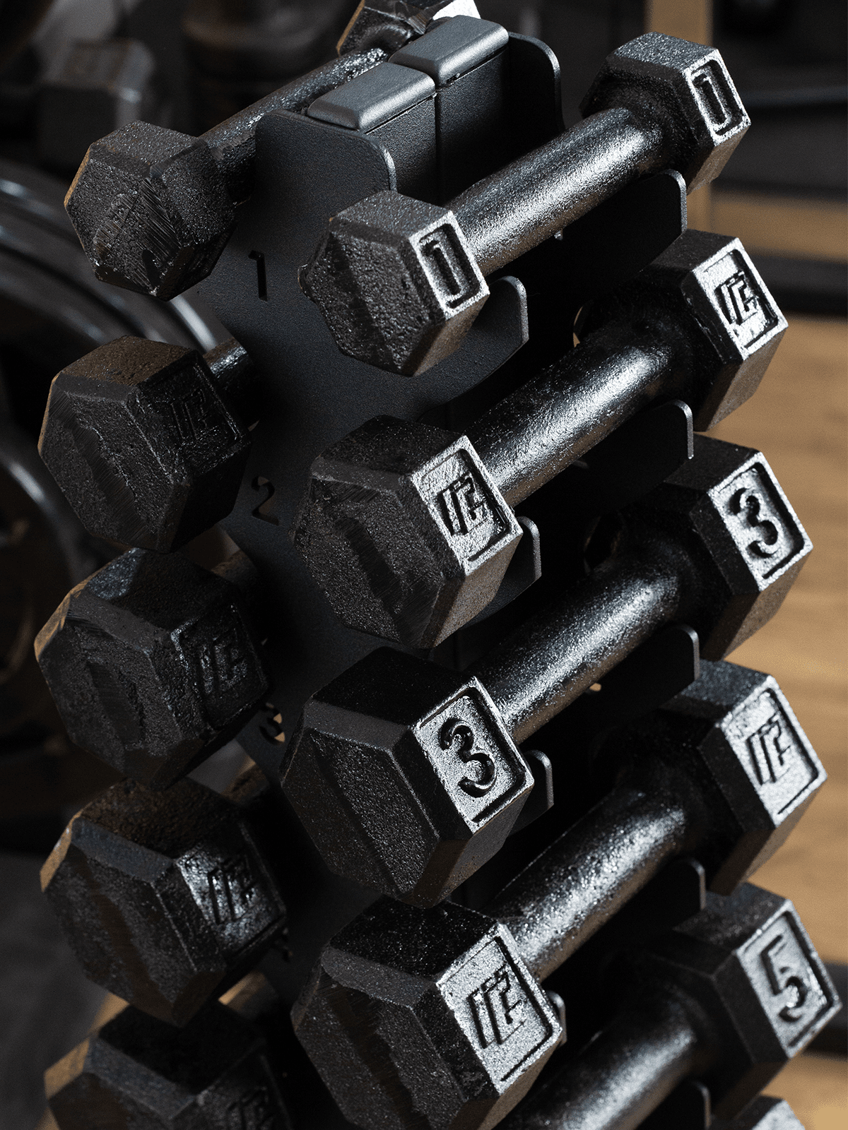 Halter Dumbbell Sextavado Pintado - MegaGym