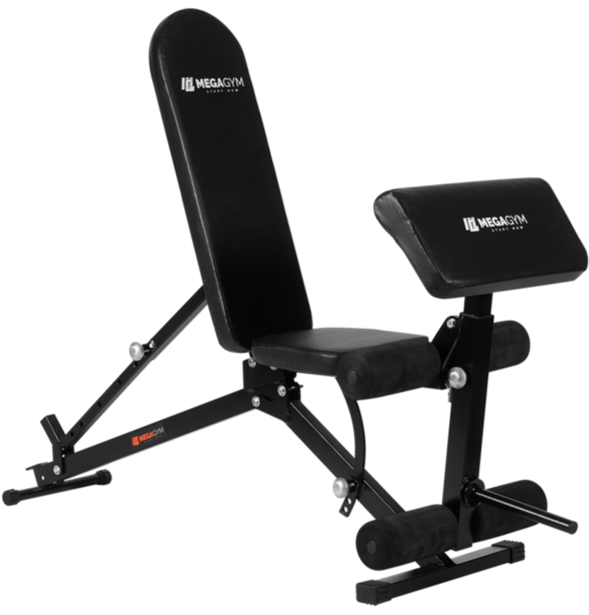 Banco 10x1 P/ Supino Com Rosca Scott Cadeira Extensora