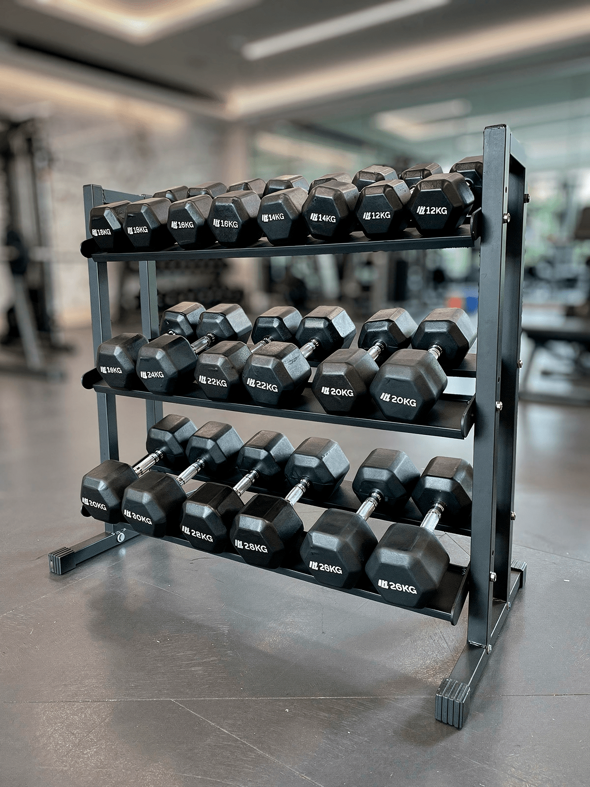 Kit Pares de Halteres Sextavados 12 kg a 30 kg Dumbbells com Pegada Cromada - MegaGym