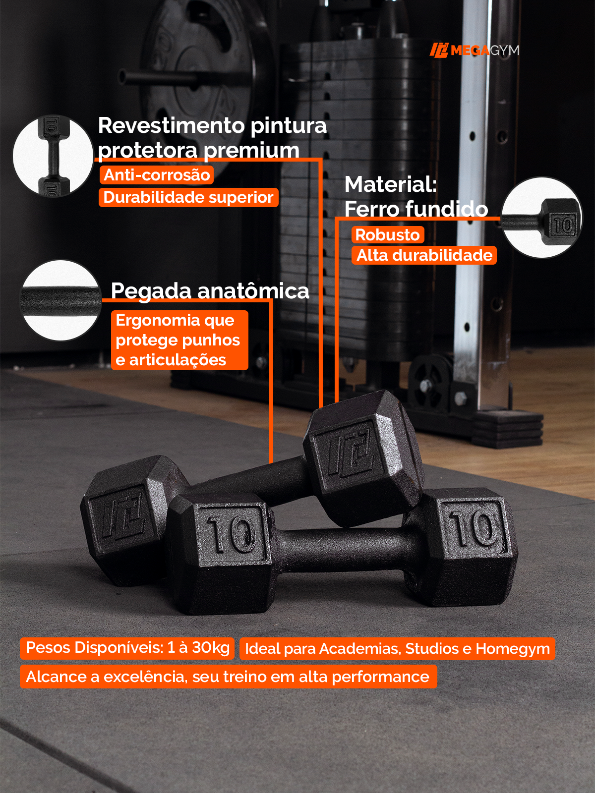 Halter Dumbbell Sextavado Pintado