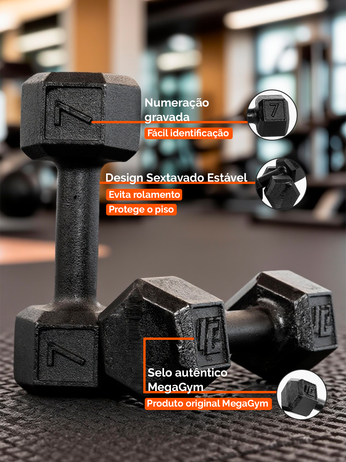 Halter Dumbbell Sextavado Pintado