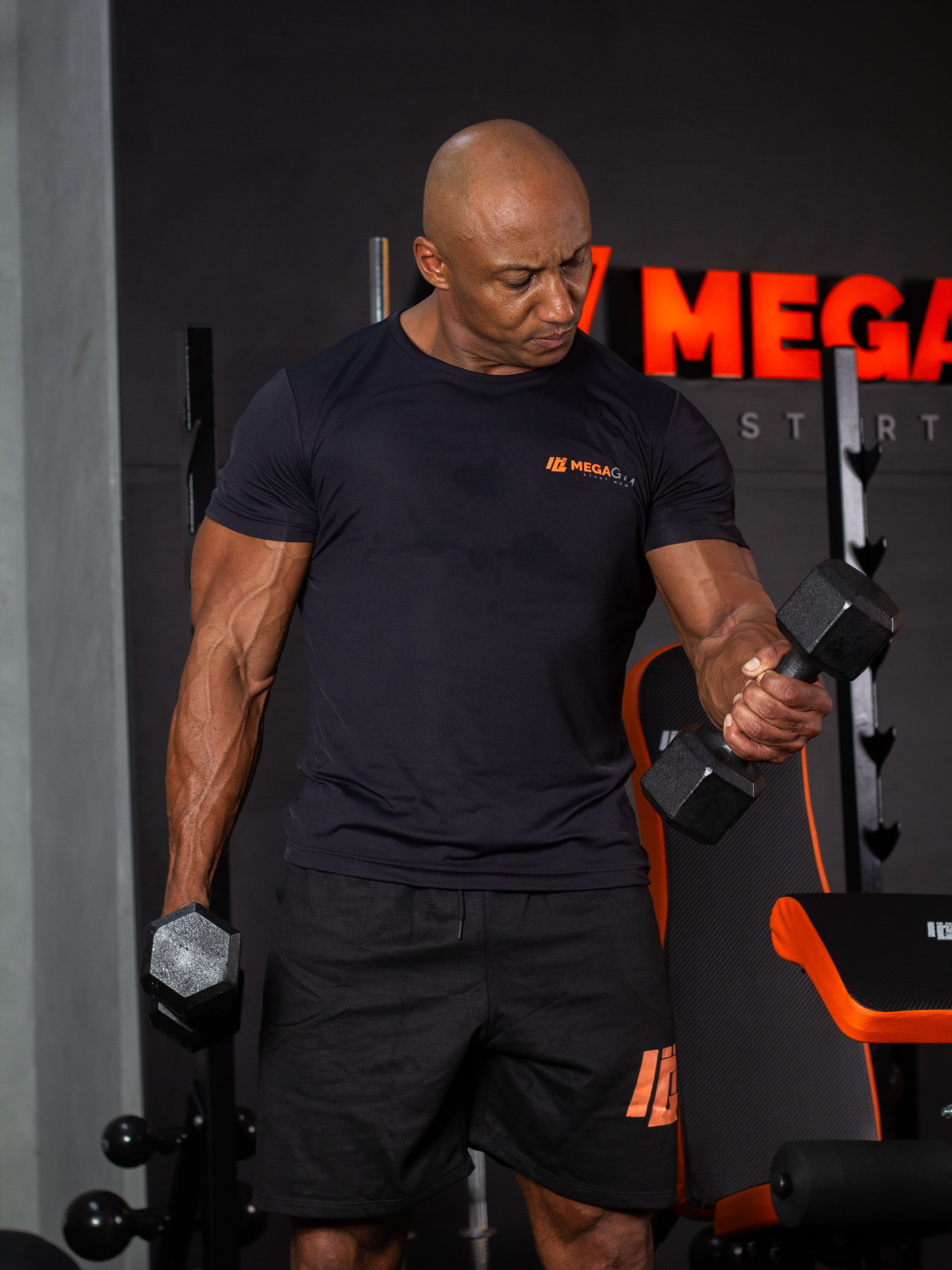 Halter Dumbbell Sextavado Pintado